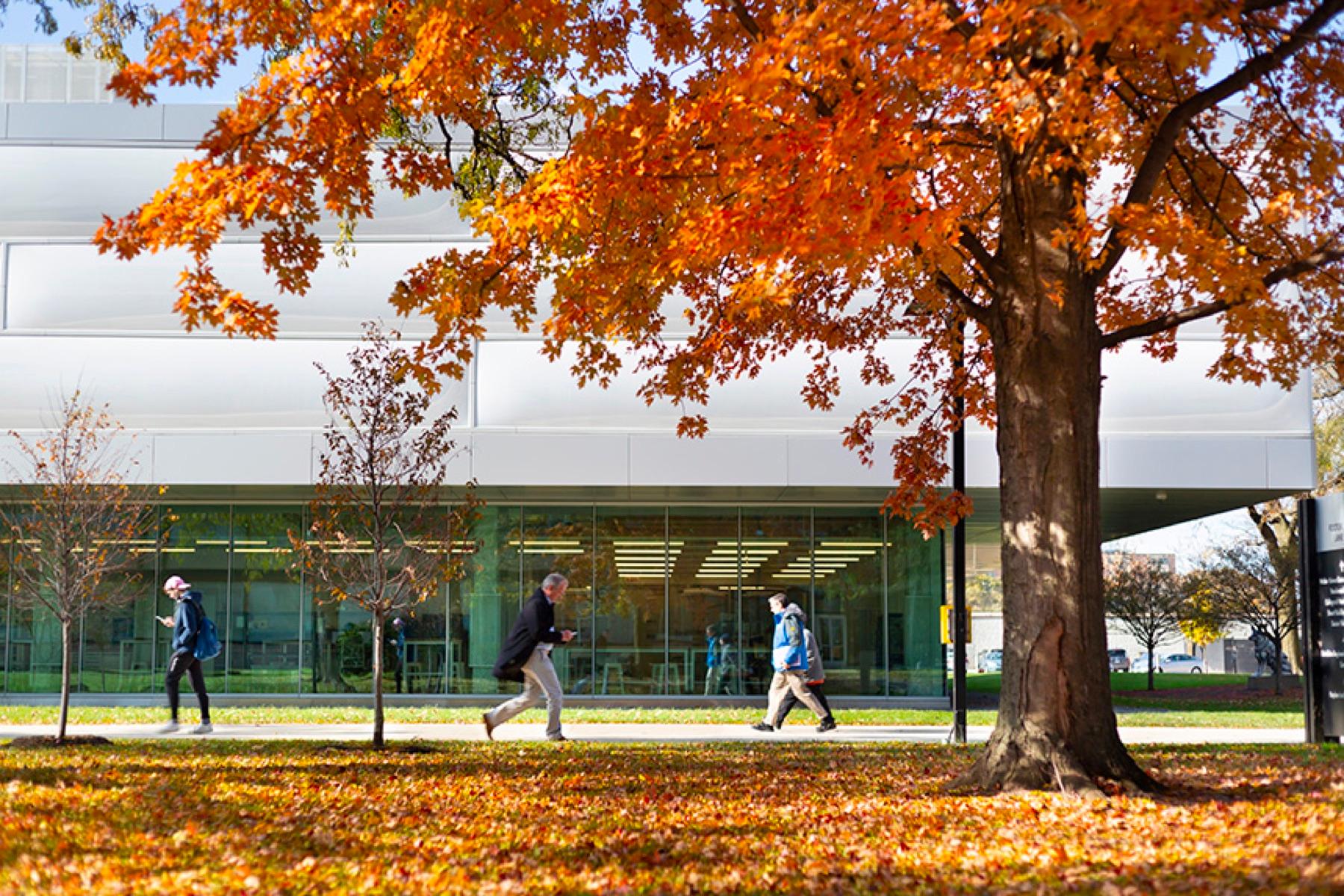 Illinois Institute of Technology campus in autumn